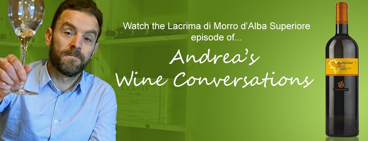 Andrea's wine conversations: Lacrima di Morro D'Alba Superiore | The Italian Abroad Wine Blog