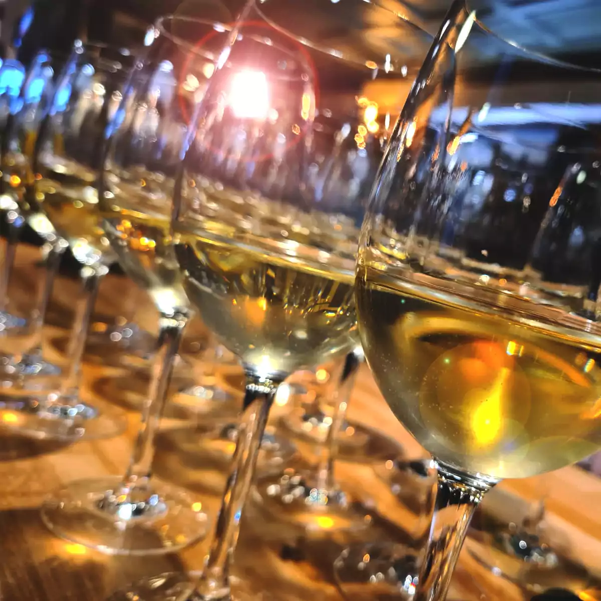 Tuscan Wines Tasting Event - Harrogate 