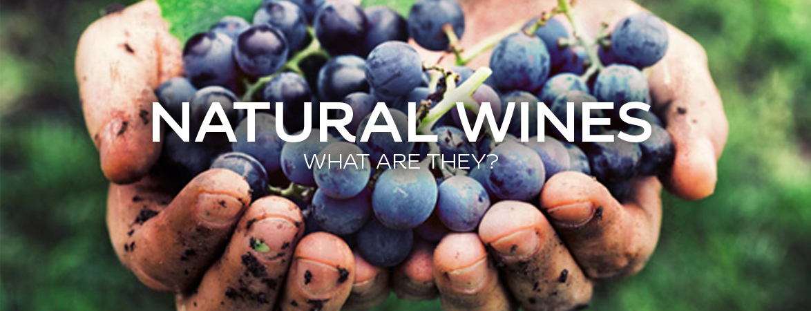 Natural wines, what are they?	