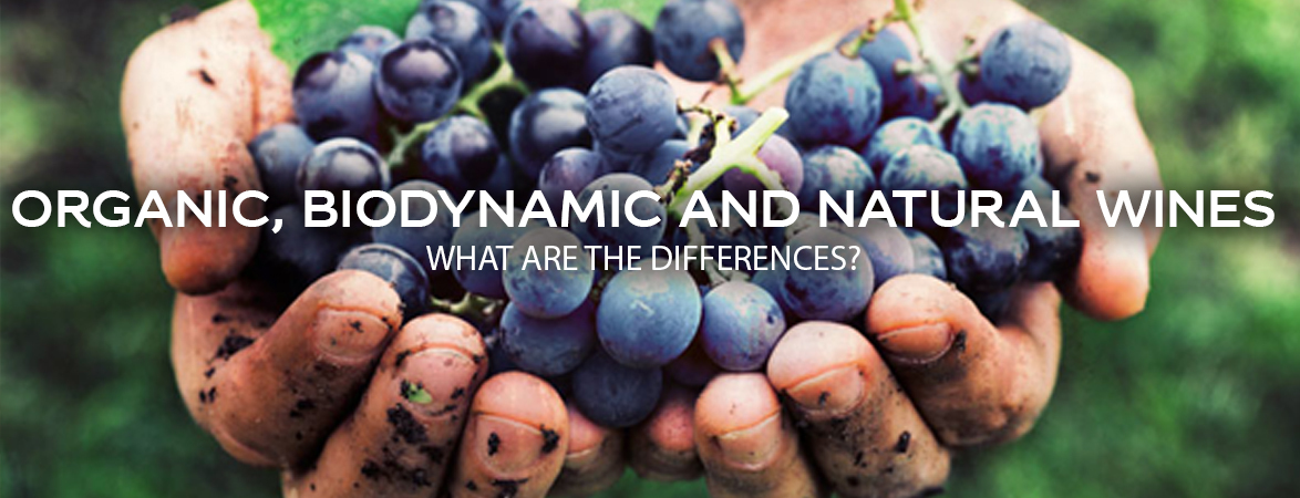 Biodynamic, organic and natural wines, what are the differences?