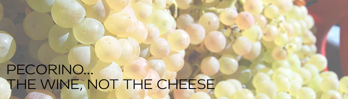 Pecorino.. the wine, not the cheese