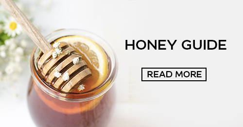 Honey Guide