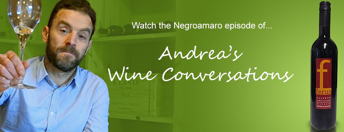 Andrea's Wine Conversations: Negroamaro | The Italian Abroad Wine Blog 