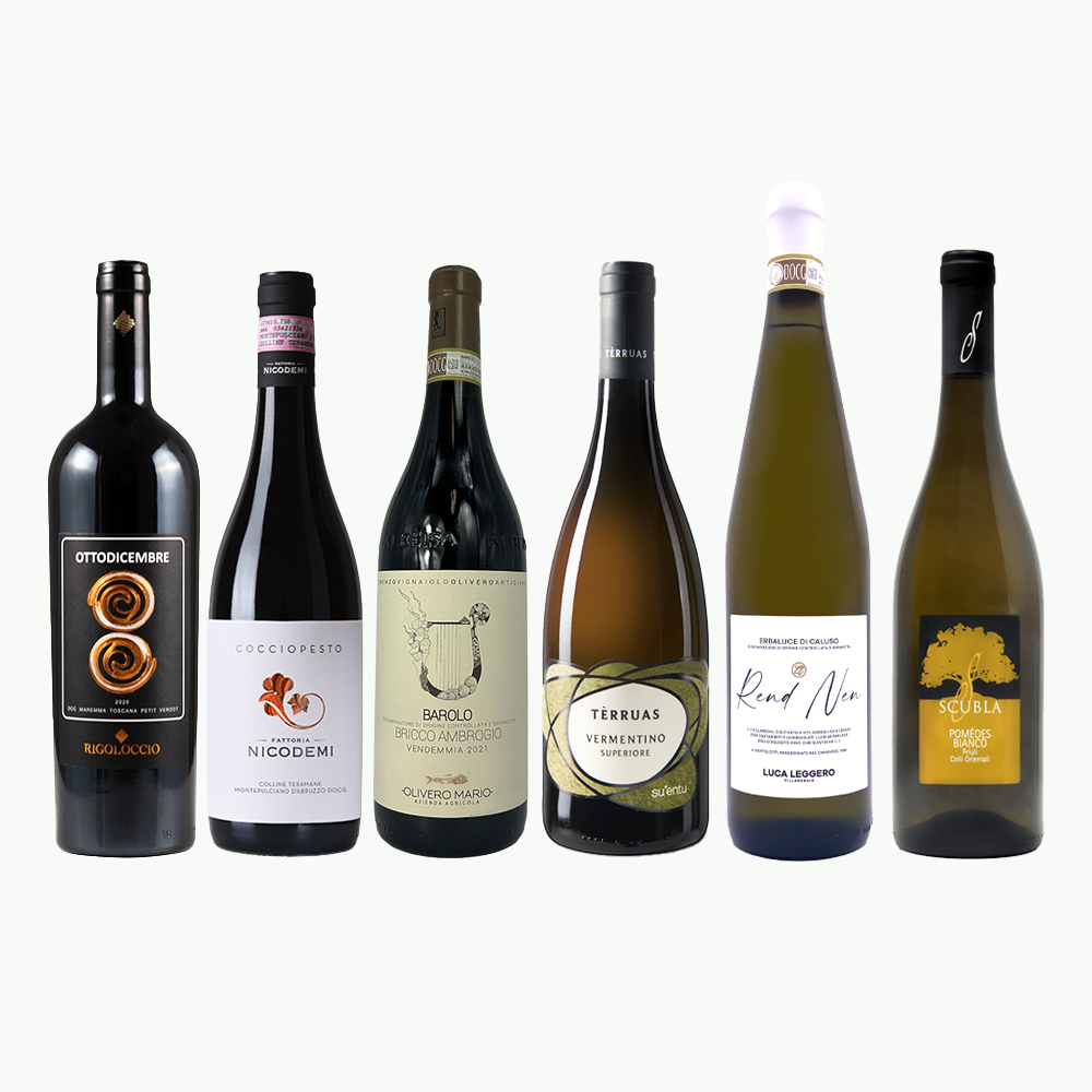 Andrea's 2026 Must Try Wine Case