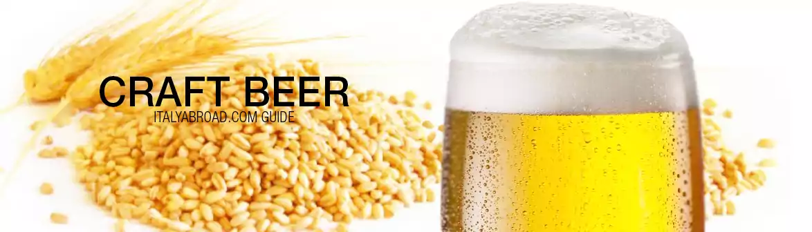 Craft Beer Banner