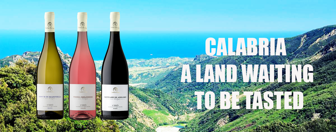 Calabria Wines