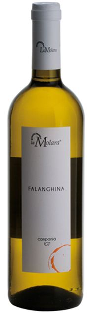 Falanghina Wine and Grape Guide