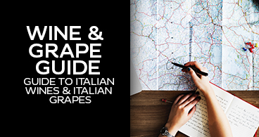 Grape Guide