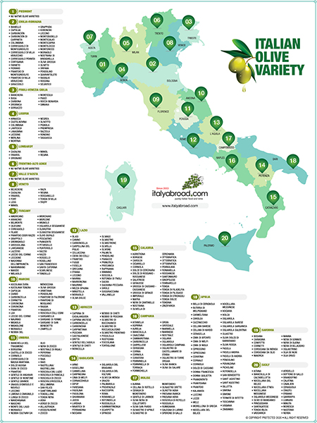Italian Olive Varieties Map, Italyabroad.com