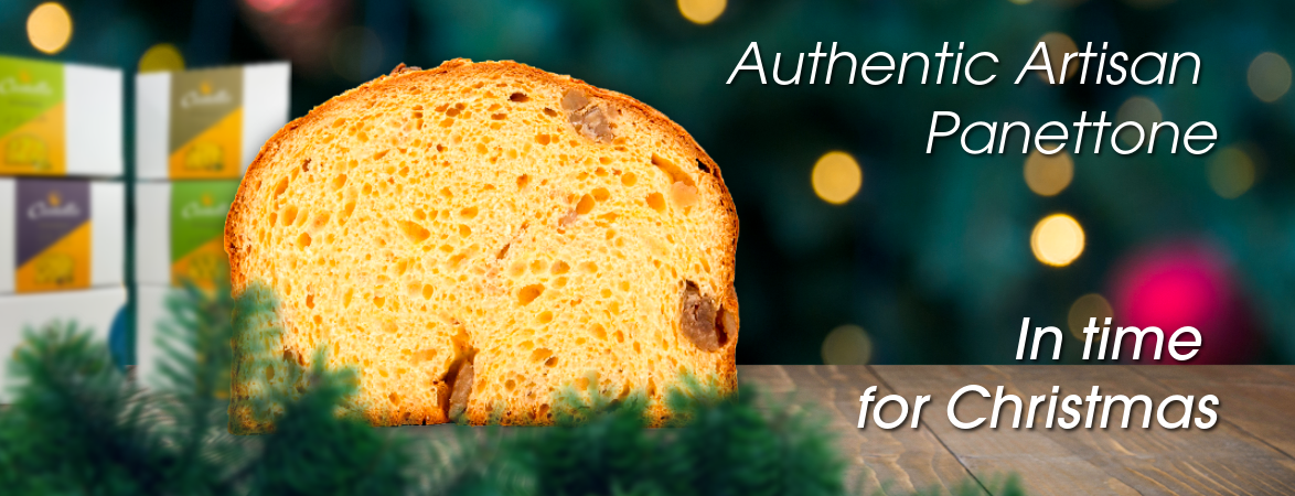 Italian Artisan Panettone