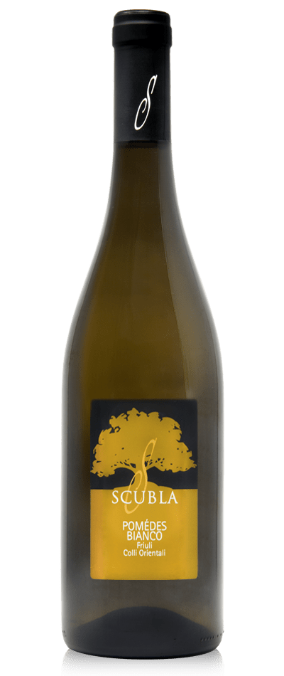 Bianco Pomedes Magnum, Scubla