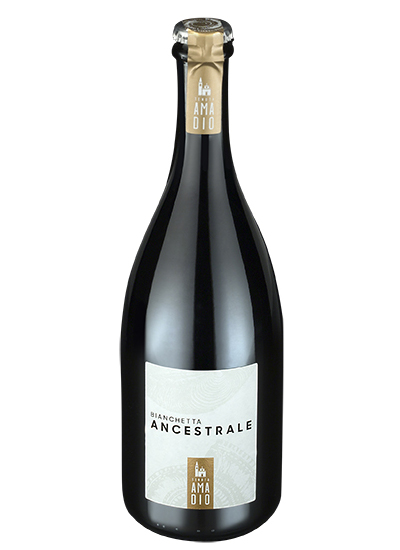Bianchetta Ancestrale, Tenuta Amadio