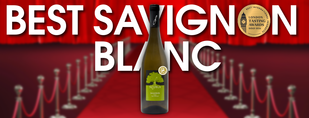 Best Sauvignon 