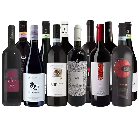 Twelve Shades of Italian Red Wines