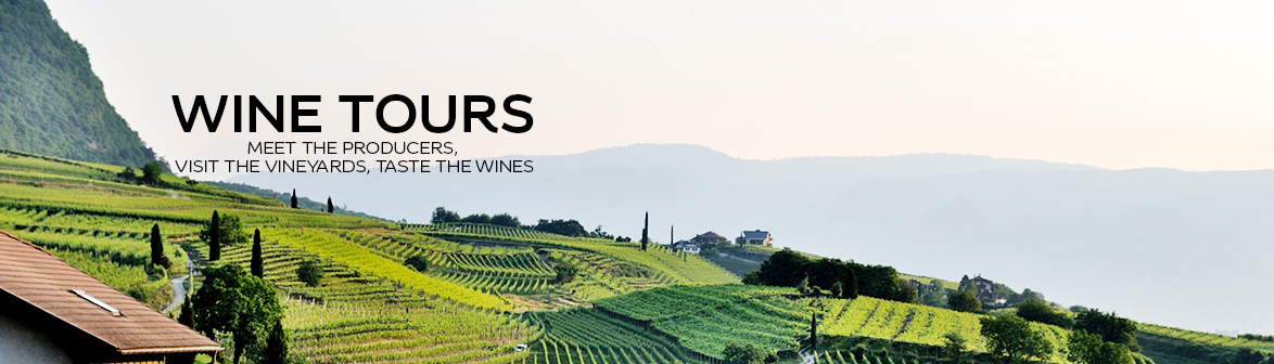 Wine Tours