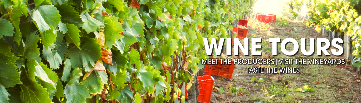 Wine Tours