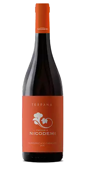 Montepulciano d'Abruzzo, Nicodemi