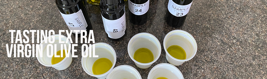 Tasting extra virgin olive oil