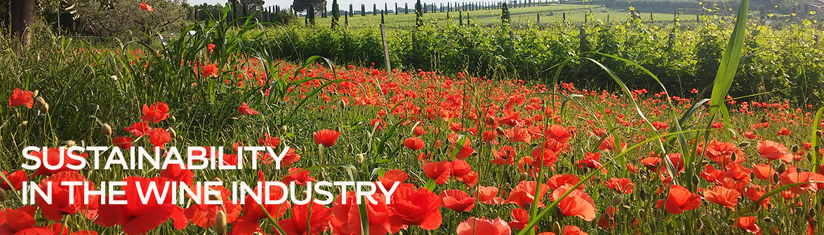 Sustainability in the wine industry