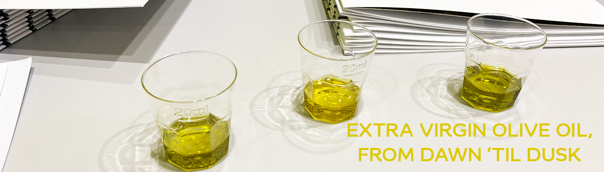 Extra virgin olive oil, from dawn ‘til dusk