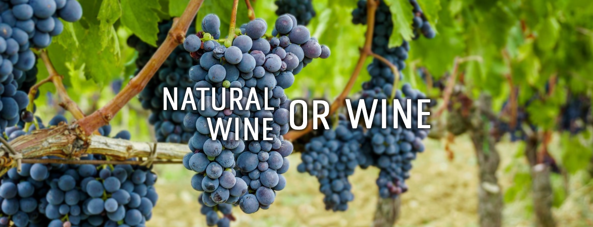 Natural wine or wine?