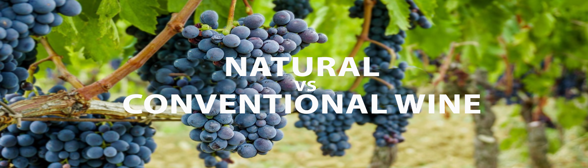 Natural wine vs Conventional wine?