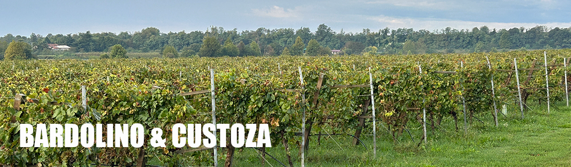 A Journey Through Lake Garda’s Other Wines: Bardolino & Custoza