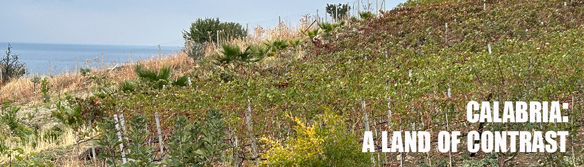 Calabria: a land of contrast