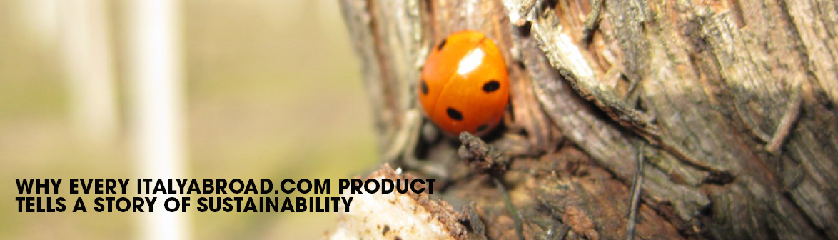 Why Every Italyabroad.com Product Tells a Story of Sustainability